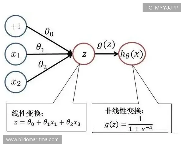 乌兹别克斯坦对哥伦比亚比赛胜负概率全面解析与赛前数据预测