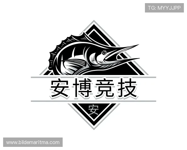 解读安博竞技
